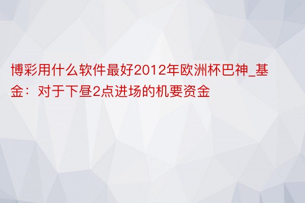 博彩用什么软件最好2012年欧洲杯巴神_基金：对于下昼2点进场的机要资金